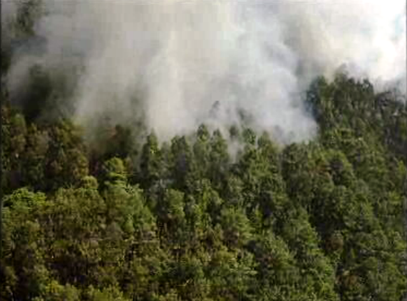 Incêndio florestal na Ilha da Madeira