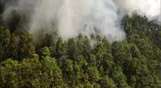 Incêndio florestal na Ilha da Madeira