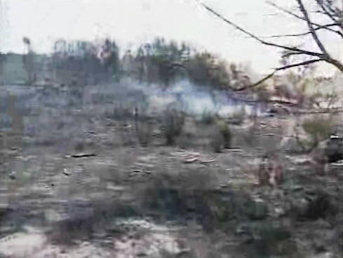 Incêndios florestais na Guarda