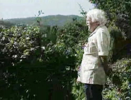 Crónica Portuguesa: ingleses em Portugal