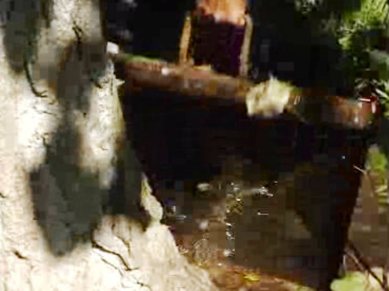 Rotura no Parque Roma