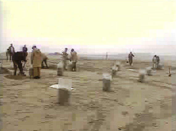 Maré negra na costa de Leixões