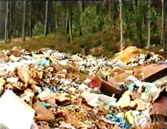 Relatório da Quercus sobre lixeiras