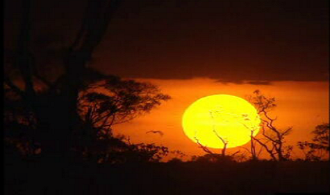 Experiências de quase Morte – Parte II