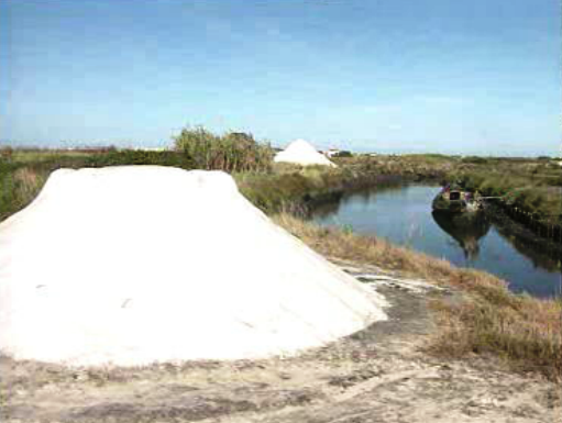 Salinas com tendência a desaparecer