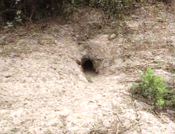 Zona de caça contestada