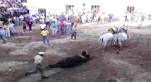 Corrida de touros em Barrancos