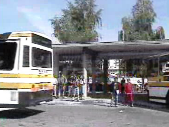 Concurso para transporte de alunos em Lamego