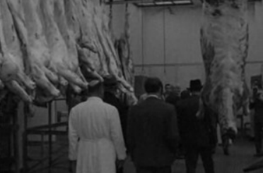 França Borges visita matadouro e central de leite