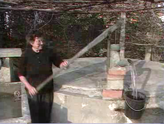 CAP rejeita legislação