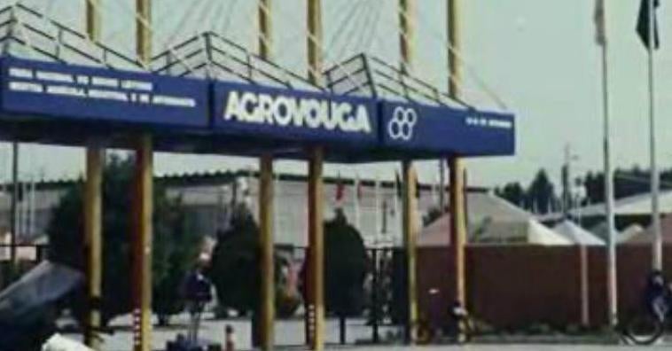 Feira Nacional do Bovino Leiteiro – I