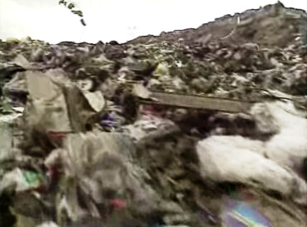 Corpo de bebé encontrado em Beja