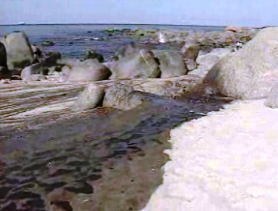 Relatório sobre o derrame de crude pelo “Cercal”