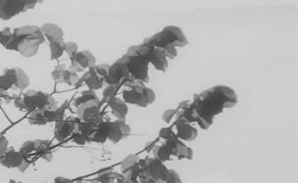 Poesia do Outono – Parte I