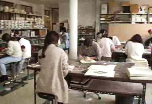 Crise nas escolas profissionais