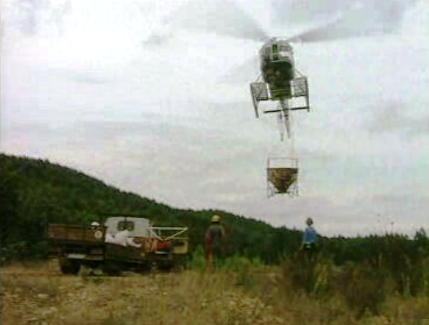 Fertilização das florestas portuguesas