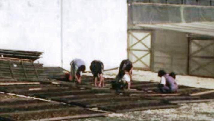 Feira Nacional de Frutos Secos – II