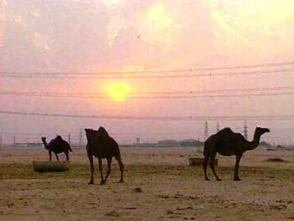 Fábricas de água no deserto da Arábia