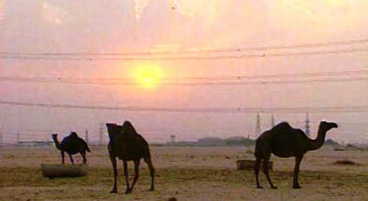 Fábricas de água no deserto da Arábia