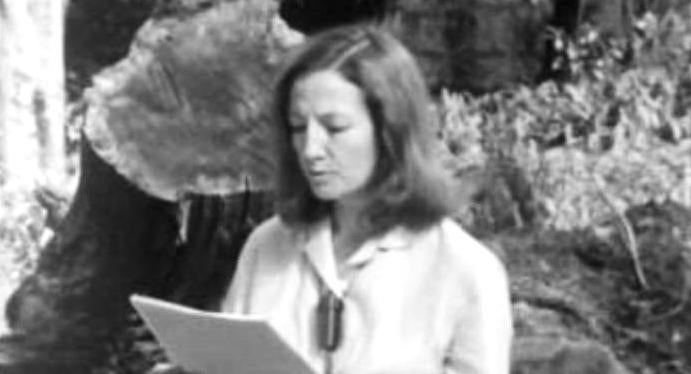 Perfil: Maria Glória Padrão