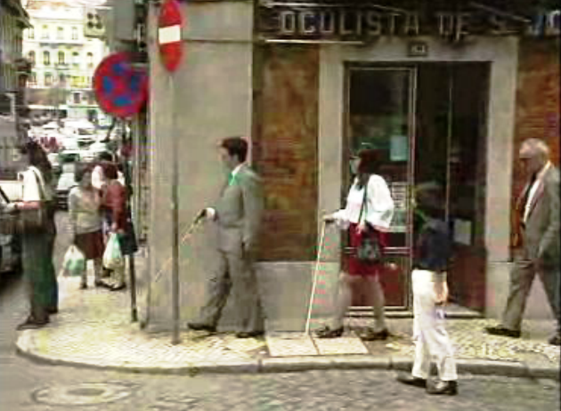 Dia Mundial da Bengala Branca