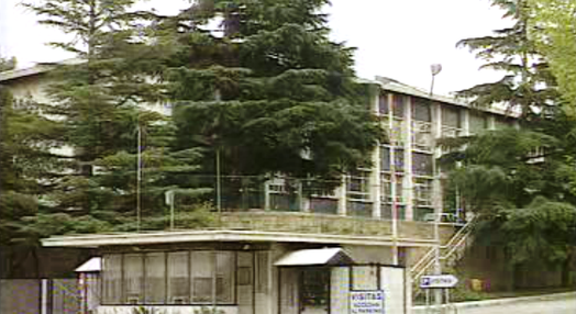Acidente na central nuclear de Juan Vigon