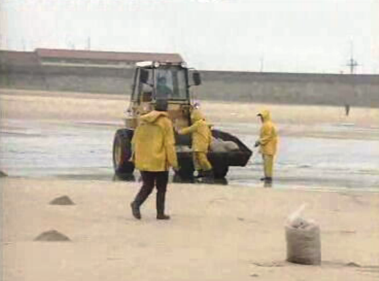 Limpeza de praias em Leixões