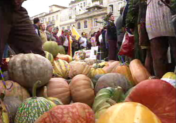 Manifestação de autarcas