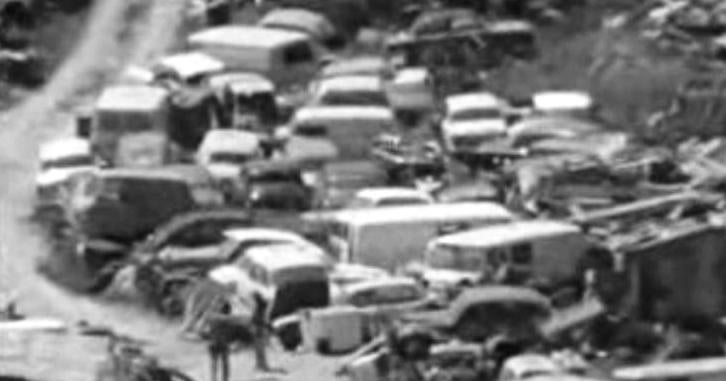 Ecologia: a Nossa Sobrevivência – Parte II