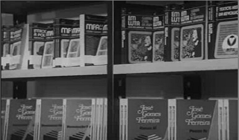 O livro, as livrarias e os livreiros