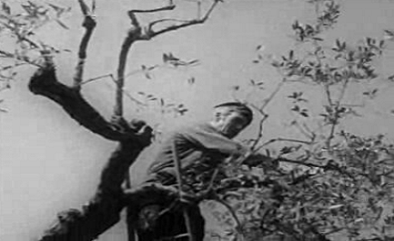 Antologia do “Com Todas as Letras”