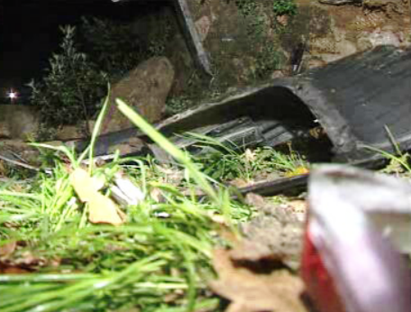 Fernando Gomes vítima de acidente