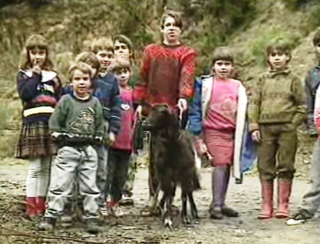 Brucelose no concelho de Arganil