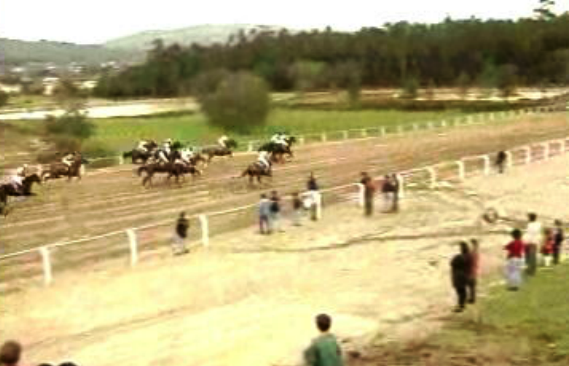 Aposta nas corridas a cavalo