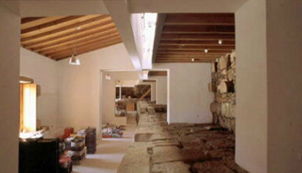 Alexandre Alves Costa