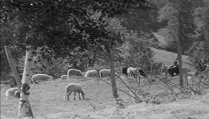 O Povo Faz o que Precisa: Trás-os-Montes, Terras do Barroso – Parte I