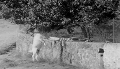 O Povo Faz o que Precisa: Trás-os-Montes, Terras do Barroso – Parte II