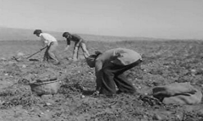 O Povo Faz o que Precisa: Para Lá do Marão Mandam os que Lá Estão – Parte II