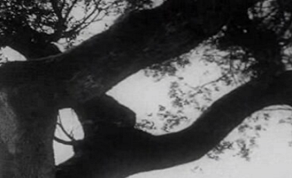 Poesia do Outono – Parte II