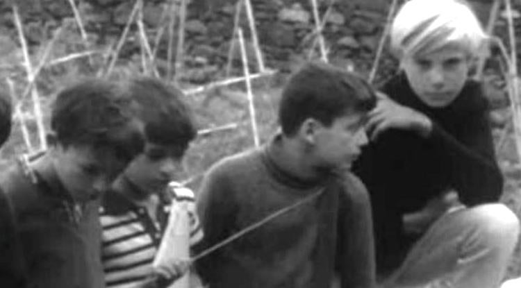 Gaivotas em Terra, uma Experiência Pedagógica na Madeira