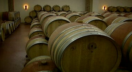 Região dos vinhos do Alentejo