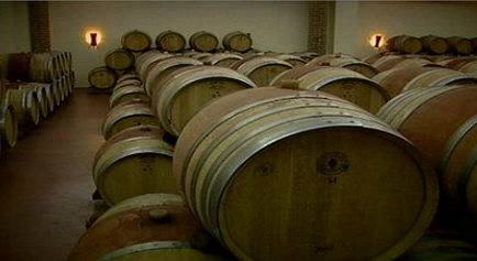 Região dos vinhos do Alentejo