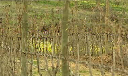 Herdade do Rocim e Casa Santana Ramalho