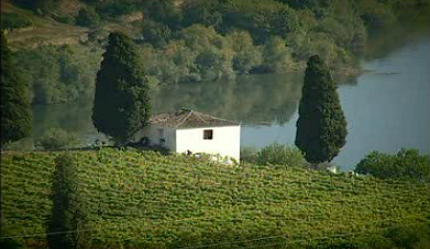 Quinta de Roriz