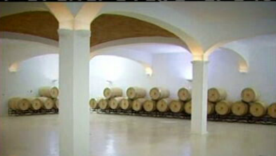 Global Wines e Quinta do Falcão