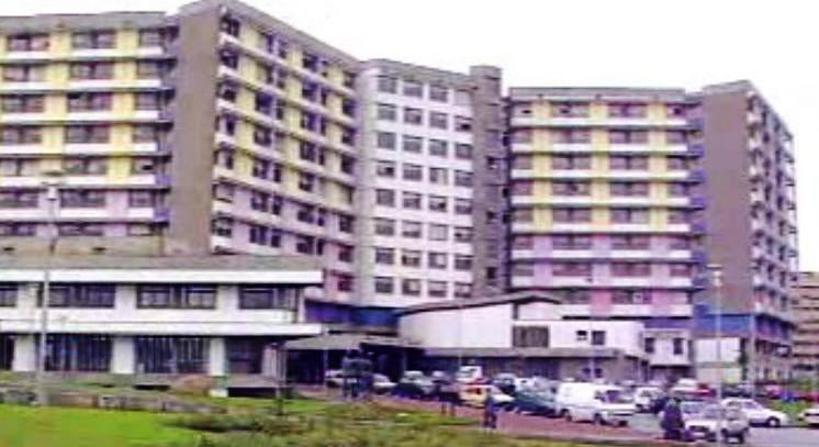 Maria José Nogueira Pinto e Eurico Figueiredo – Parte II