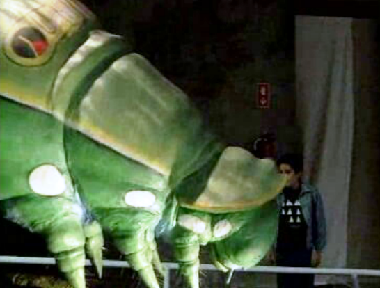 Exposição de insectos