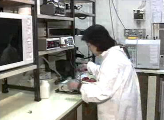 Associação Portuguesa de Doenças do Lisossoma