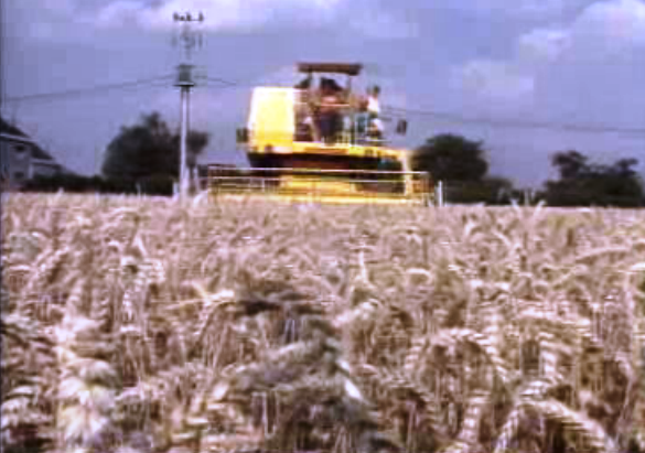 Reforma da Política Agrícola Comum