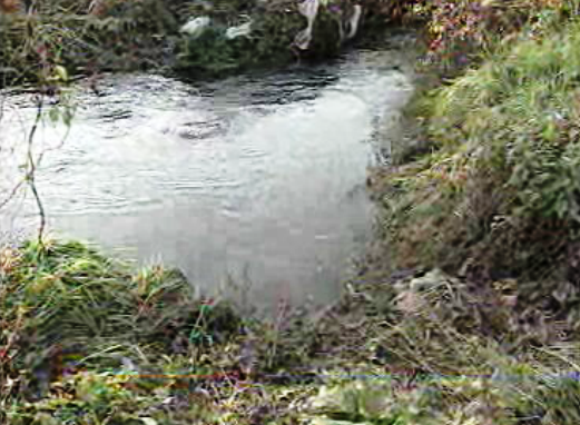 Matadouros poluentes